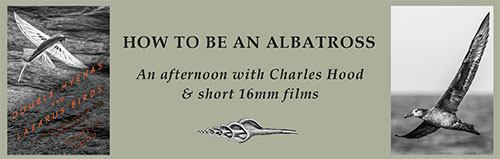 How to be an Albatross event flyer with albatross soaring