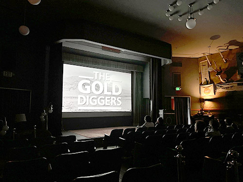Film-In-Residence: The Gold Diggers