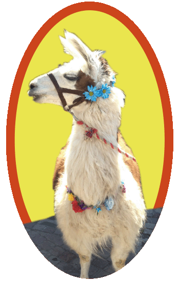 Zorthian Llama at the Blessing of the Animals