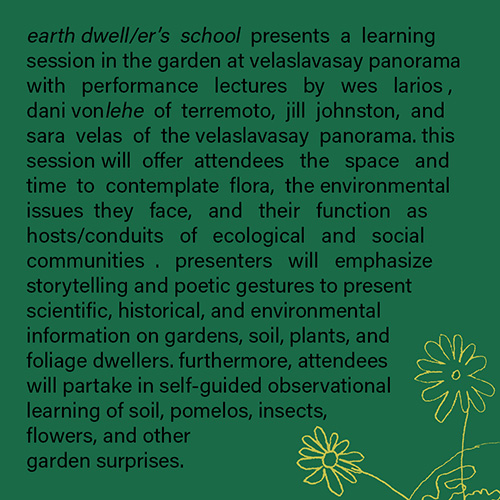 earth dwell/er&#039;s school garden session