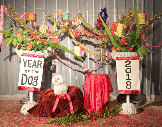 Year of the Earth Dog Photoshoot